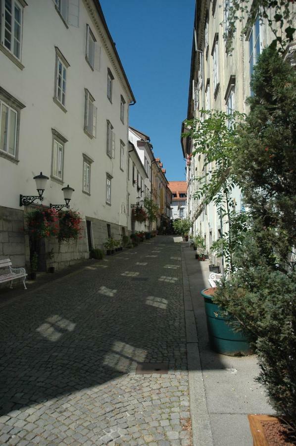 Apartment Vitez Ii *