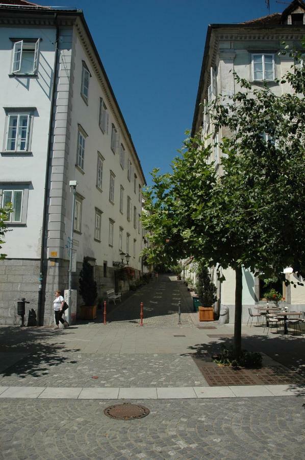 Apartamento Vitez Ii Liubliana